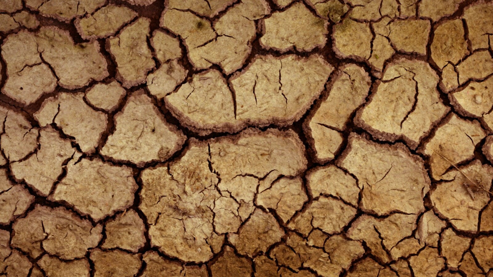 A close-up image showcasing the texture of dry red clay soil, characterized by its distinct reddish hue and cracked surface due to lack of moisture.