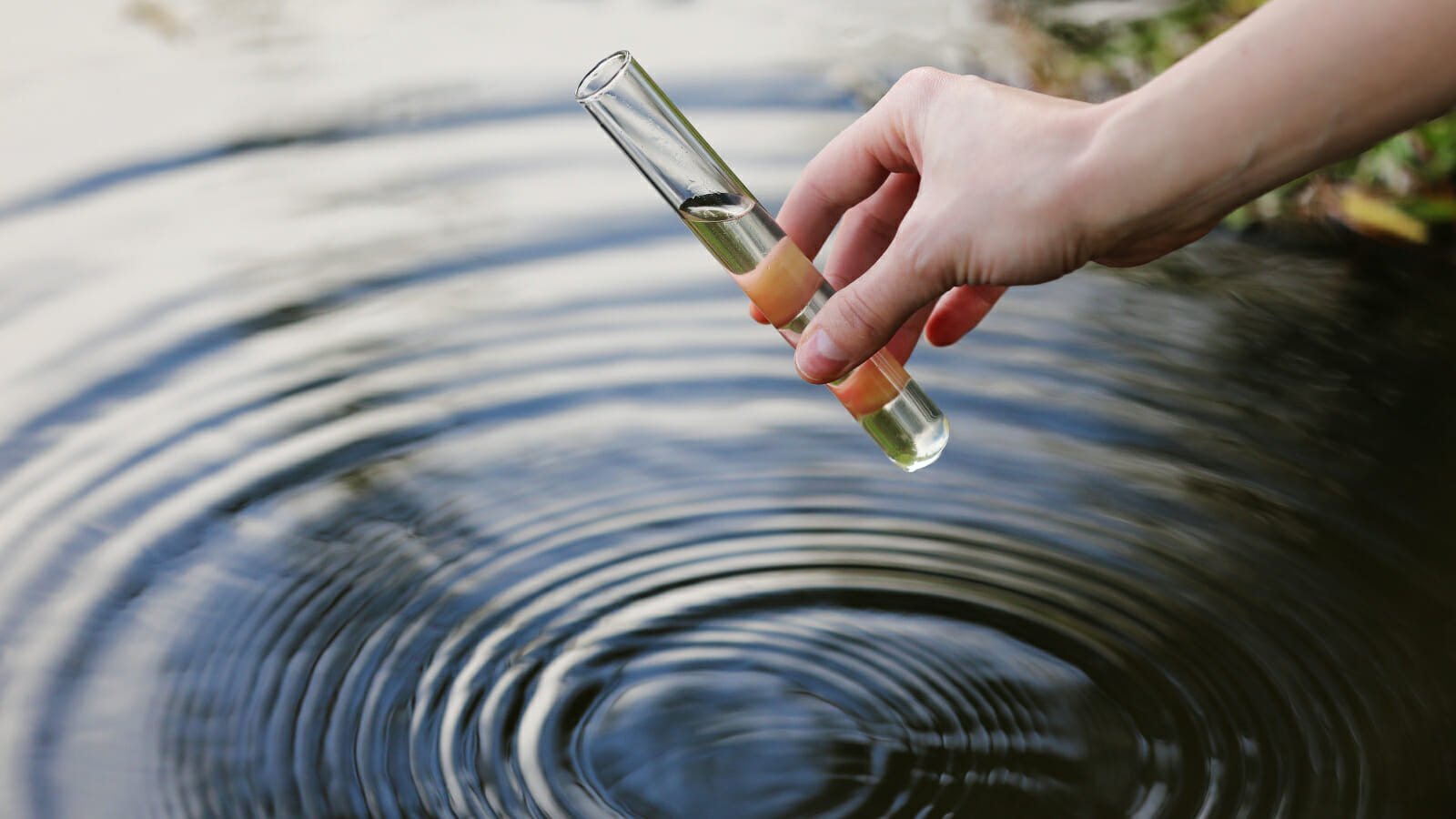 Hand holding a clear water sample, symbolizing the analysis of water purity in Rockwall, TX, for 2023. The concept emphasizes the importance of testing water for contaminants to ensure public health and safety.
