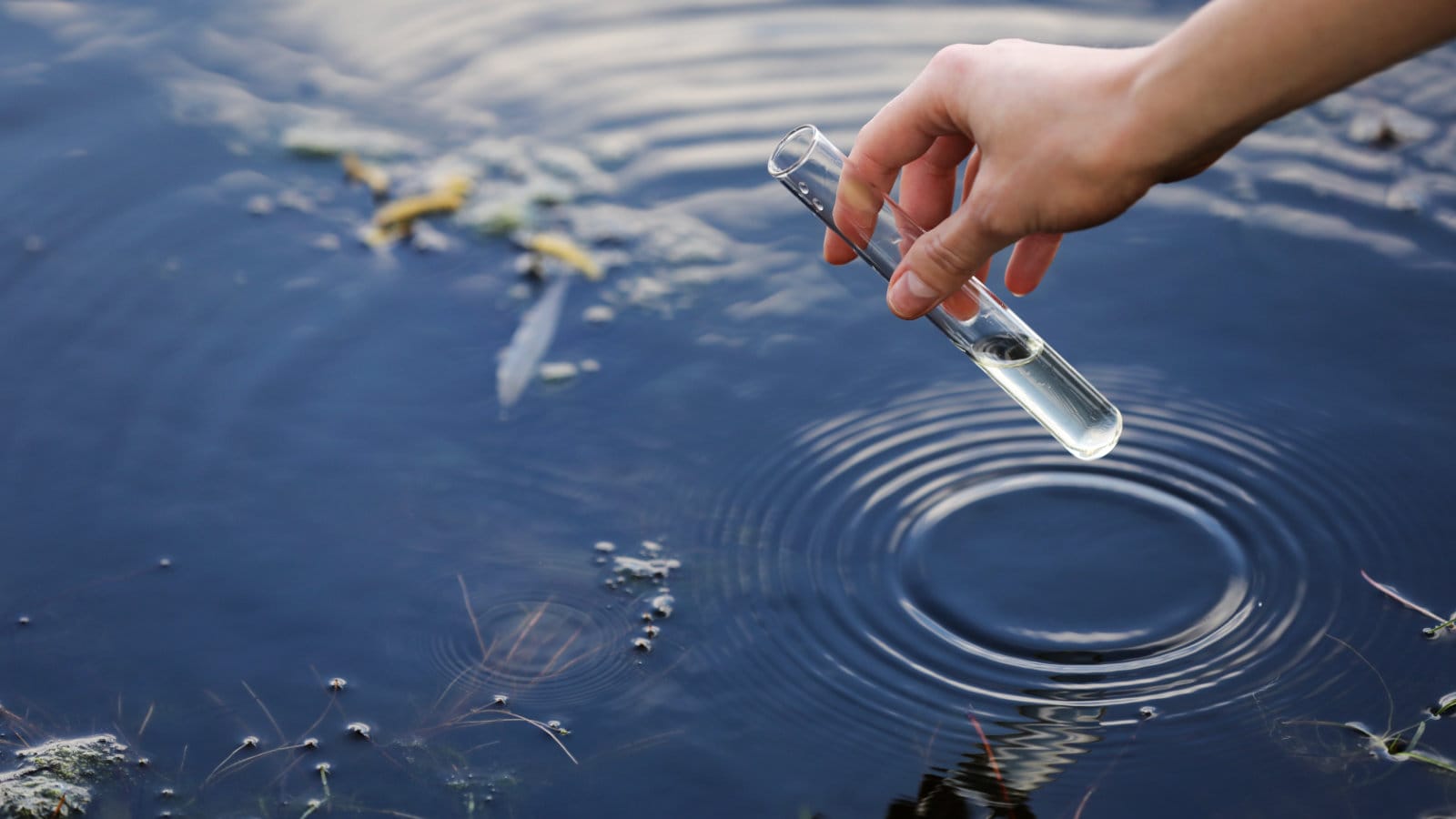 Close-up of a person’s hand holding a clear test tube to collect a water sample from a natural body of water, illustrating water quality testing and analysis.